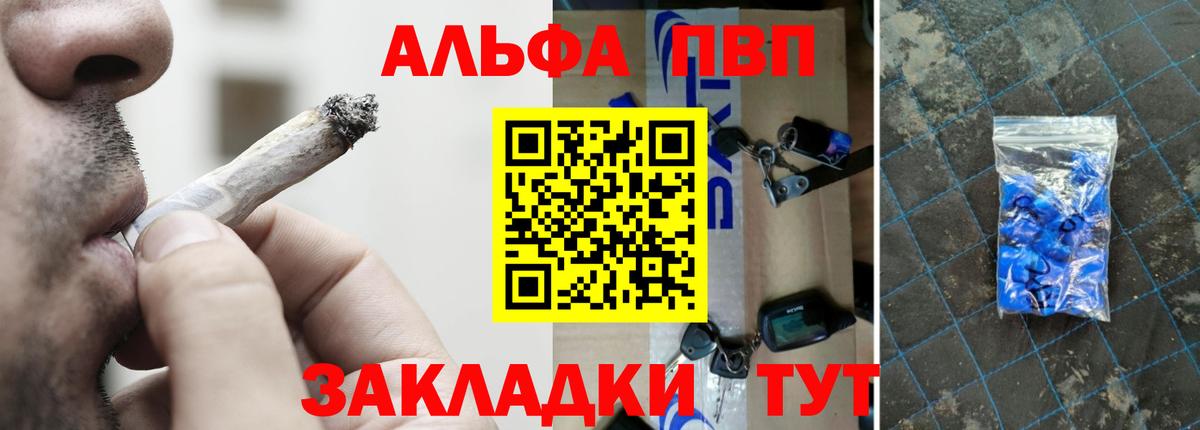 Альфа ПВП СК КРИС Луга