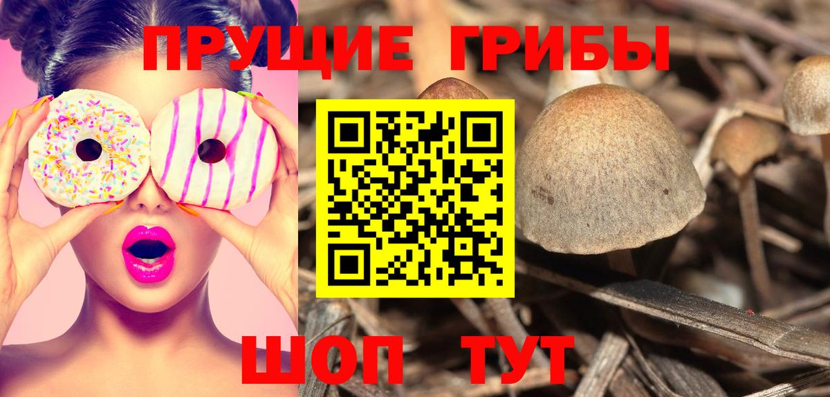 Псилоцибиновые грибы Magic Shrooms  Вход с VPN  Луга 